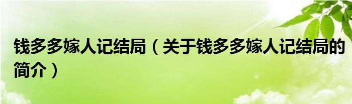 钱多多嫁人记结局（关于钱多多嫁人记结局的简介）