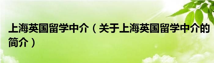 上海英国留学中介（关于上海英国留学中介的简介）