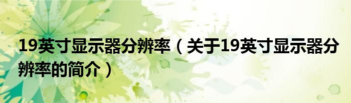 19英寸显示器分辨率（关于19英寸显示器分辨率的简介）