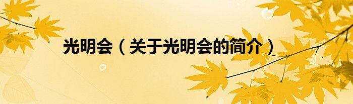 光明会（关于光明会的简介）