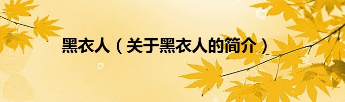 黑衣人（关于黑衣人的简介）
