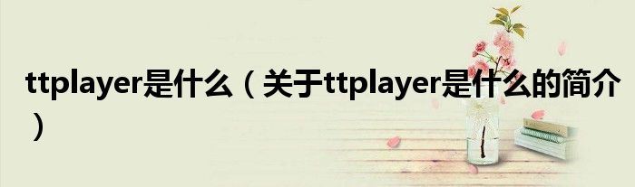 ttplayer是什么（关于ttplayer是什么的简介）