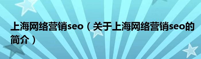 上海网络营销seo（关于上海网络营销seo的简介）