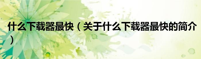 什么下载器最快（关于什么下载器最快的简介）