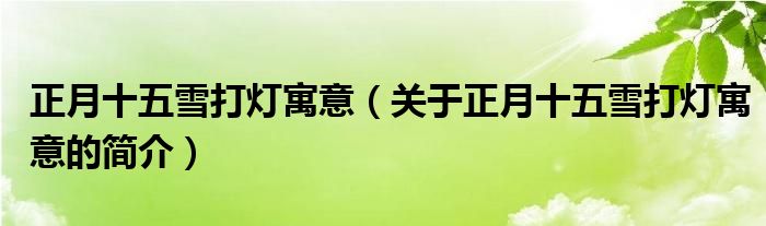正月十五雪打灯寓意（关于正月十五雪打灯寓意的简介）