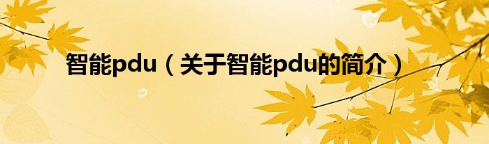 智能pdu（关于智能pdu的简介）