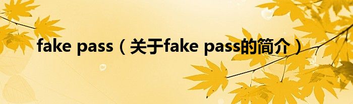 fake pass（关于fake pass的简介）
