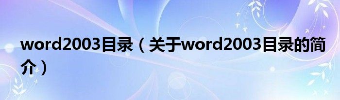 word2003目录（关于word2003目录的简介）