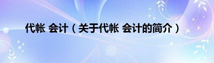 代帐 会计（关于代帐 会计的简介）