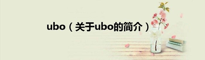 ubo（关于ubo的简介）