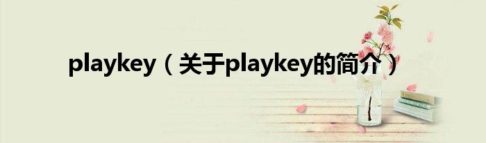 playkey（关于playkey的简介）