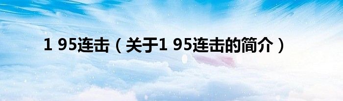 1 95连击（关于1 95连击的简介）