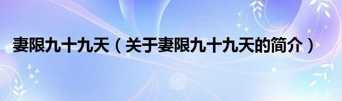 妻限九十九天（关于妻限九十九天的简介）