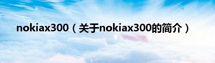 nokiax300（关于nokiax300的简介）