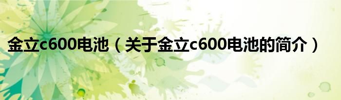 金立c600电池（关于金立c600电池的简介）