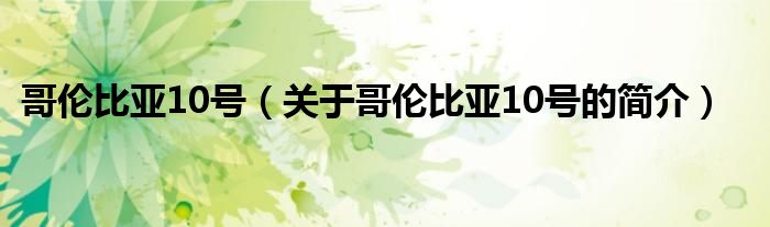 哥伦比亚10号（关于哥伦比亚10号的简介）