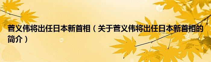 菅义伟将出任日本新首相（关于菅义伟将出任日本新首相的简介）