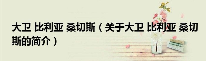 大卫 比利亚 桑切斯（关于大卫 比利亚 桑切斯的简介）