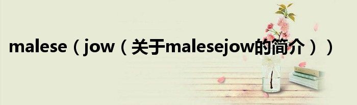 malese（jow（关于malesejow的简介））