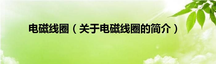 电磁线圈（关于电磁线圈的简介）