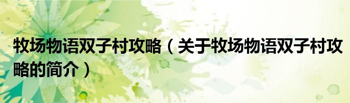 牧场物语双子村攻略（关于牧场物语双子村攻略的简介）
