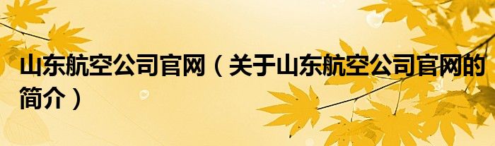 山东航空公司官网（关于山东航空公司官网的简介）