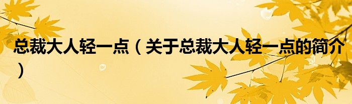 总裁大人轻一点（关于总裁大人轻一点的简介）