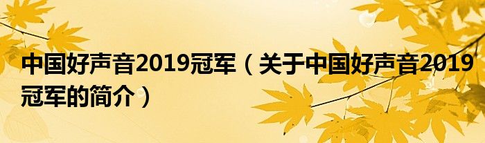 中国好声音2019冠军（关于中国好声音2019冠军的简介）