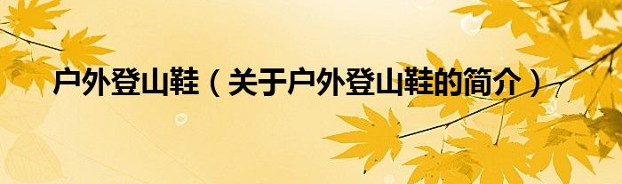 户外登山鞋（关于户外登山鞋的简介）