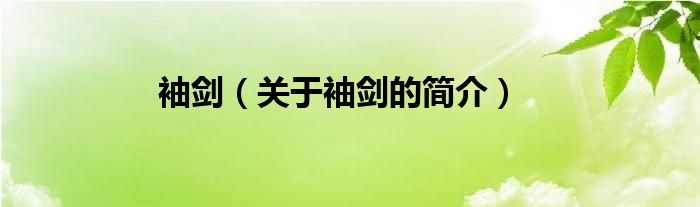 袖剑（关于袖剑的简介）