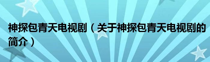 神探包青天电视剧（关于神探包青天电视剧的简介）