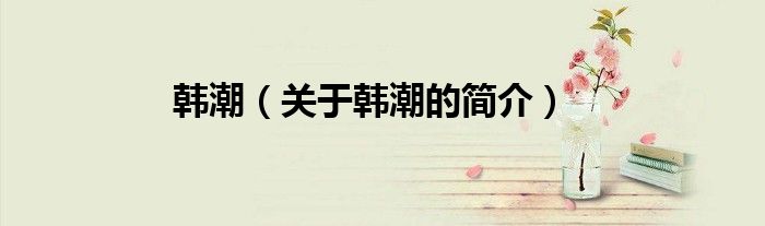 韩潮（关于韩潮的简介）
