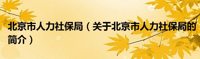 北京市人力社保局（关于北京市人力社保局的简介）