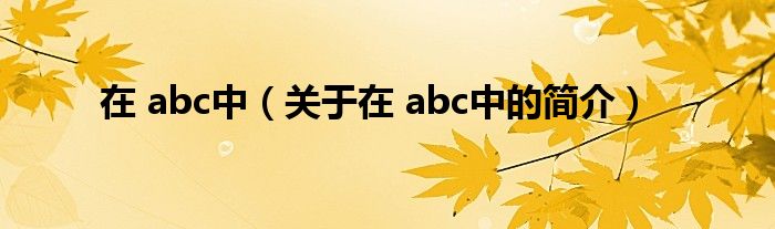 在 abc中（关于在 abc中的简介）