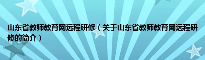 山东省教师教育网远程研修（关于山东省教师教育网远程研修的简介）