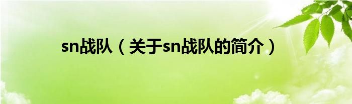 sn战队（关于sn战队的简介）