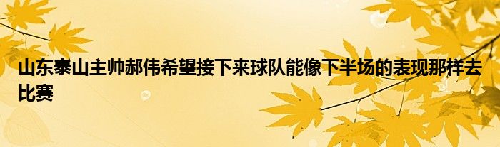 山东泰山主帅郝伟希望接下来球队能像下半场的表现那样去比赛