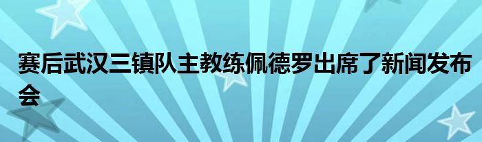 赛后武汉三镇队主教练佩德罗出席了新闻发布会