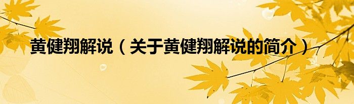 黄健翔解说（关于黄健翔解说的简介）