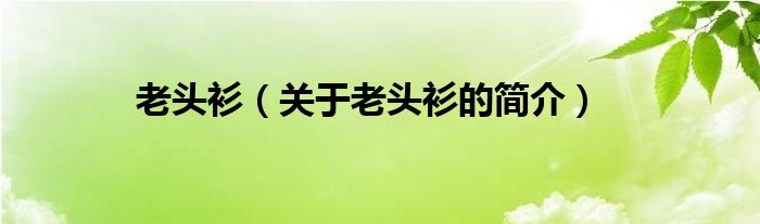老头衫（关于老头衫的简介）