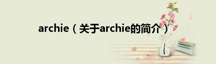 archie（关于archie的简介）