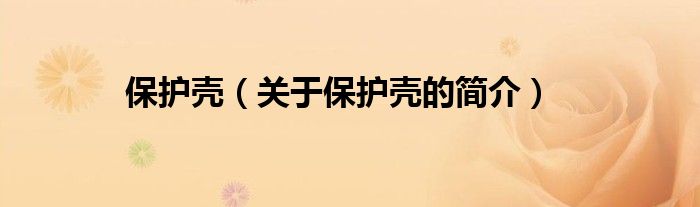 保护壳（关于保护壳的简介）