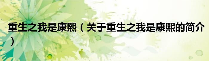 重生之我是康熙（关于重生之我是康熙的简介）
