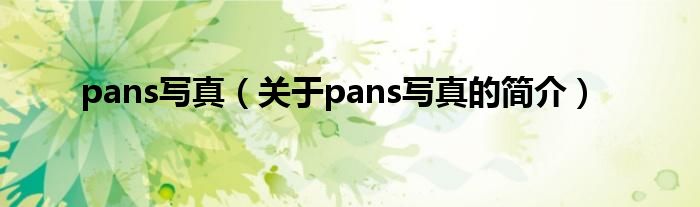 pans写真（关于pans写真的简介）