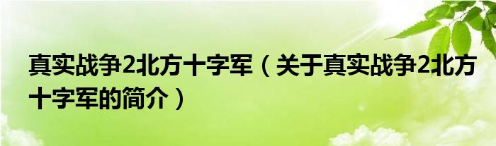 真实战争2北方十字军（关于真实战争2北方十字军的简介）