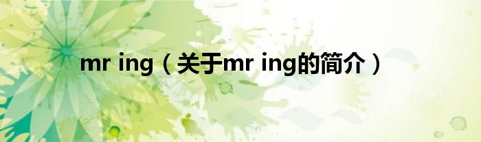 mr ing（关于mr ing的简介）