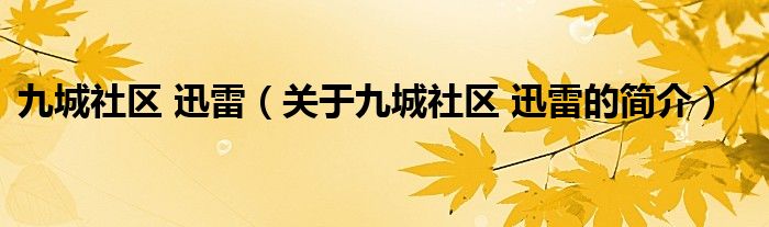 九城社区 迅雷（关于九城社区 迅雷的简介）