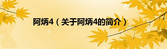 阿炳4（关于阿炳4的简介）