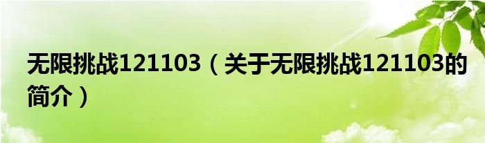 无限挑战121103（关于无限挑战121103的简介）