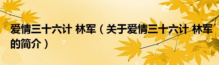 爱情三十六计 林军（关于爱情三十六计 林军的简介）